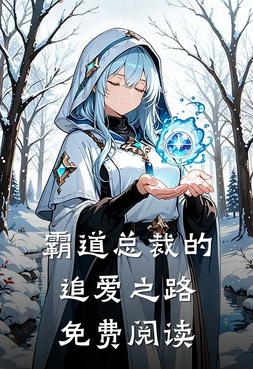 霸道总裁的追爱之路免费阅读